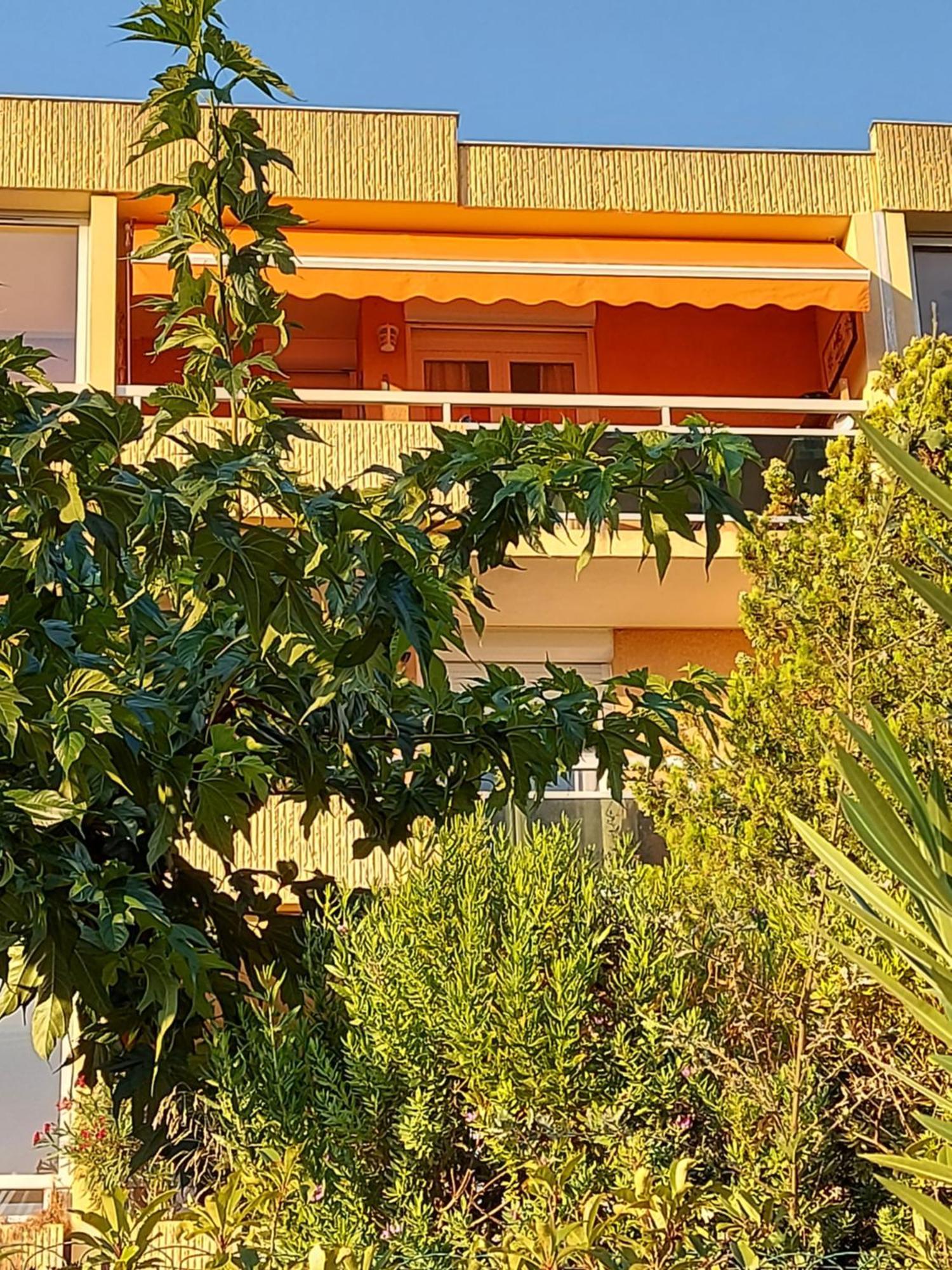 T2-Clim-Fibre-Garage 2,30 X 4,95 X 1,90 A La Faviere Apartment Bormes-les-Mimosas Exterior photo